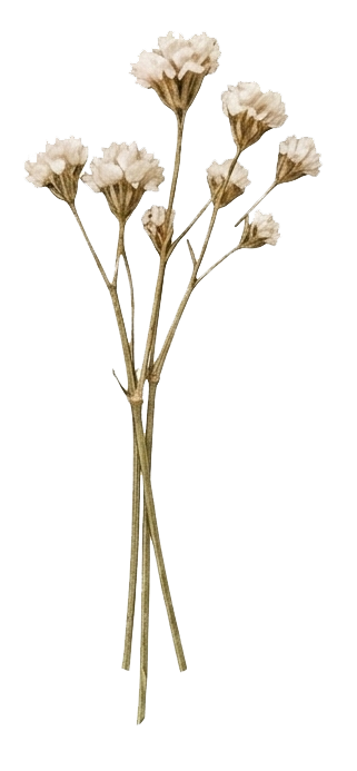 Flor